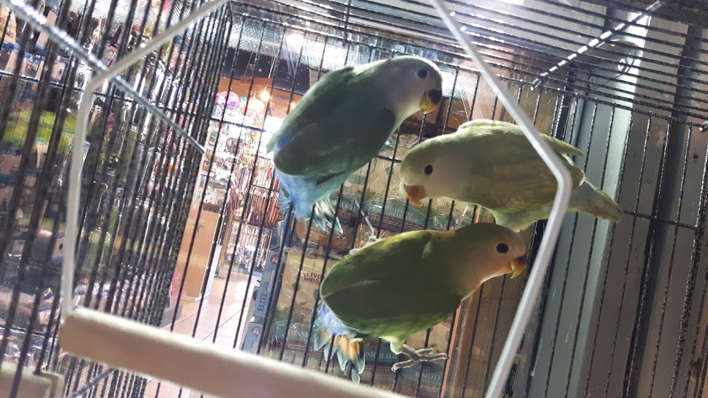 Animalerie | 1080 Rang Saint-François, Terrebonne, QC J6Y 1Z5, Canada | Phone: (450) 979-9724