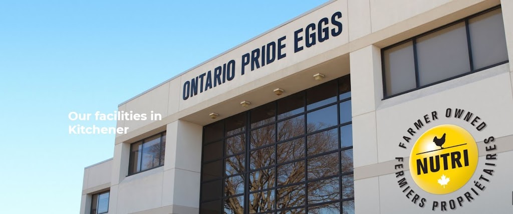 Ontario Pride Eggs | 860 Trillium Dr, Kitchener, ON N2R 1K4, Canada | Phone: (519) 741-8763