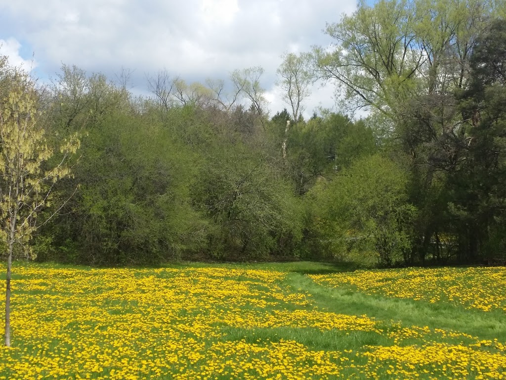 Beaufort Trail | Richmond Hill, ON L4E 2P9, Canada