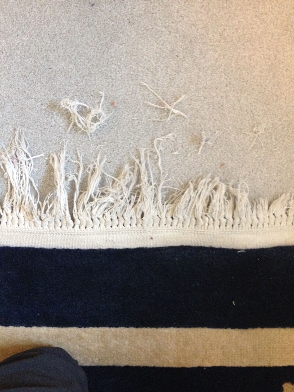 Aero Carpet Services Ltd. | 4081 McConnell Dr, Burnaby, BC V5A 3A7, Canada | Phone: (604) 321-7440