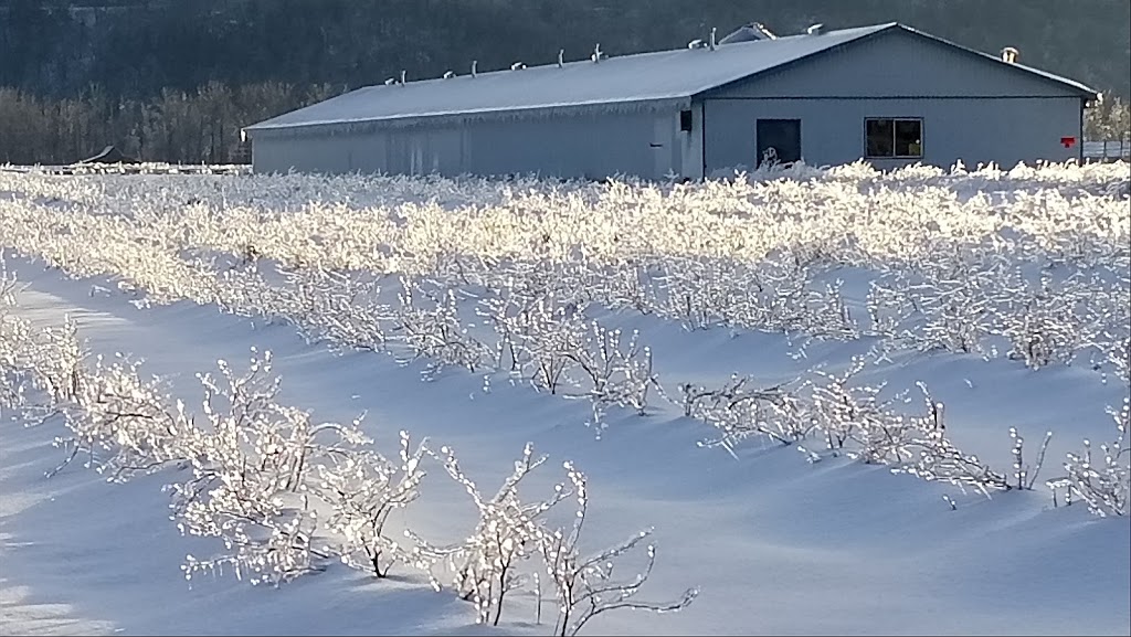 Kermode Wild Berry Winery | 8457 River Rd S, Dewdney, BC V0M 1H0, Canada | Phone: (604) 303-9180