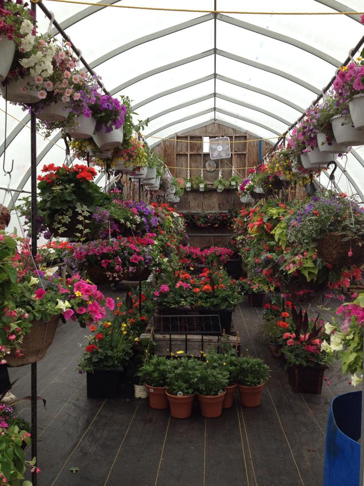 Shirleys Garden Supply | 506195 ON-89, Shelburne, ON L9V 0N7, Canada | Phone: (519) 925-9580