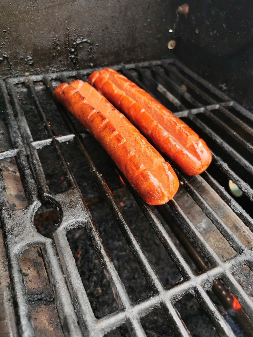 C Taylor Dog | 181 Brant Rd, Saint George, ON N0E 1N0, Canada | Phone: (416) 705-3130
