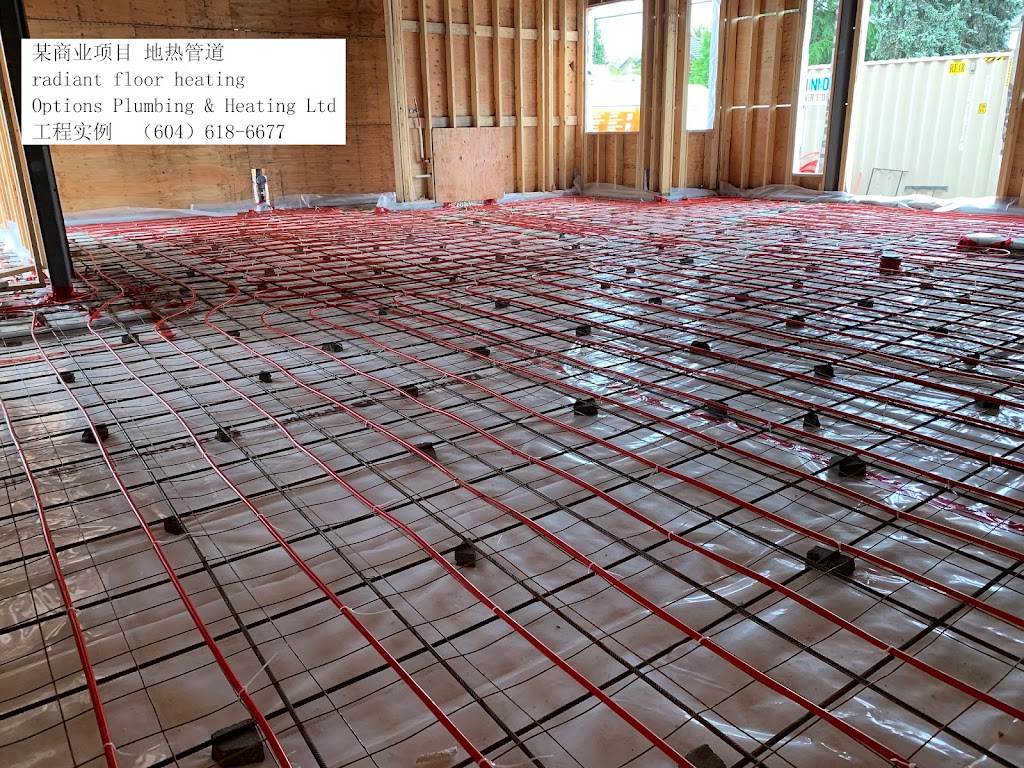 Options Plumbing & Heating Ltd | 10687 142 St, Surrey, BC V3T 4S6, Canada | Phone: (604) 618-6677