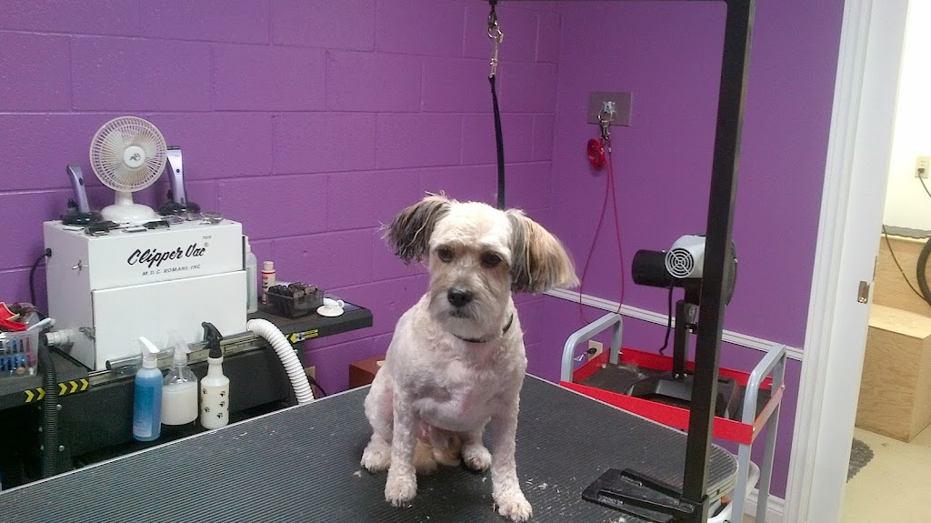 Marlenes K9 Kreations | 500 Rue Main, Montague, PE C0A 1R0, Canada | Phone: (902) 838-2212
