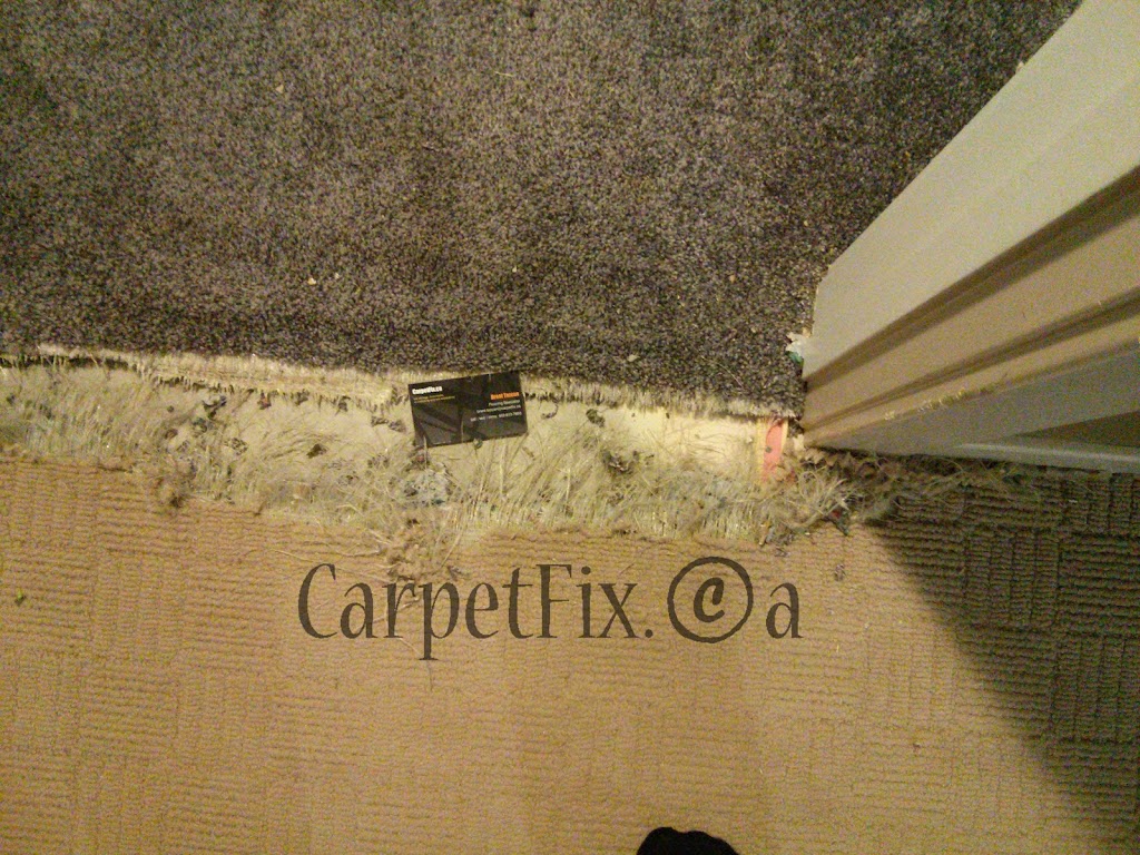 Calgary Carpet Repair, Stretching Restoration Services | 210 86 Ave SE, Calgary, AB T2H 1N6, Canada | Phone: (403) 613-7653