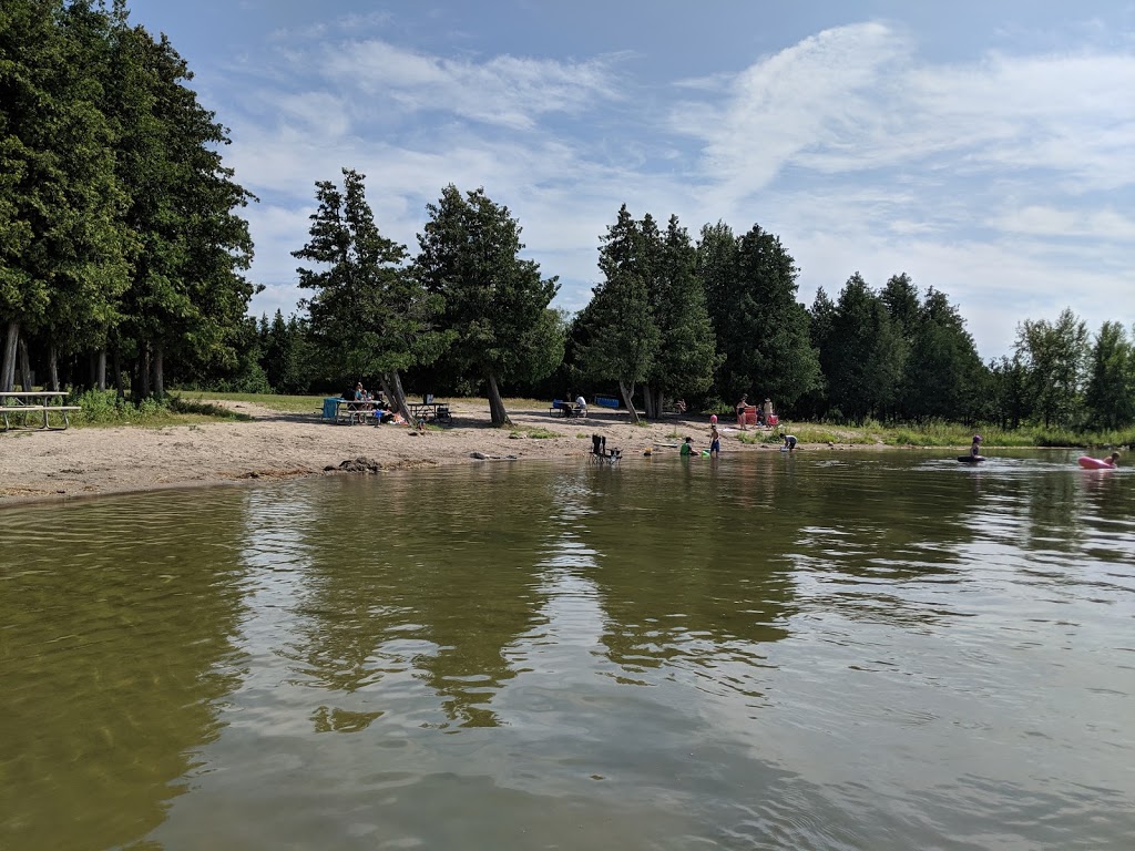 Selwyn Beach Conservation Area | 2251 Birch Island Rd, Lakefield, ON K0L 2H0, Canada | Phone: (705) 745-5791