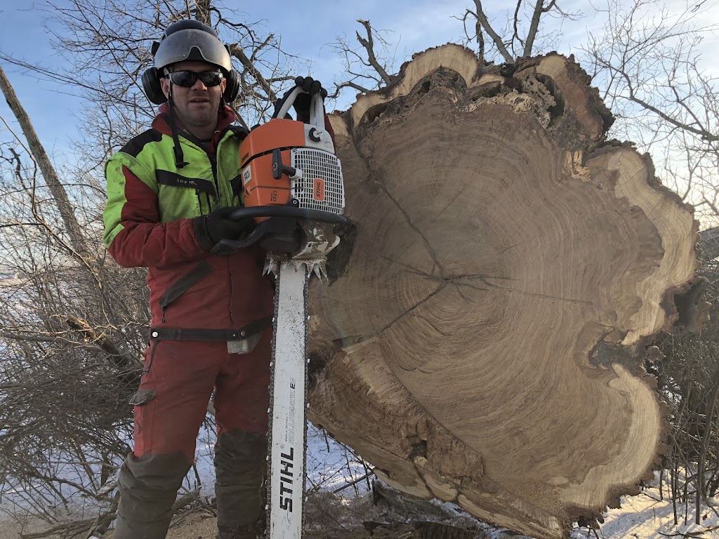 Sharpe Tree Service | 3020 River Dr, Wardsville, ON N0L 2N0, Canada | Phone: (519) 852-7061