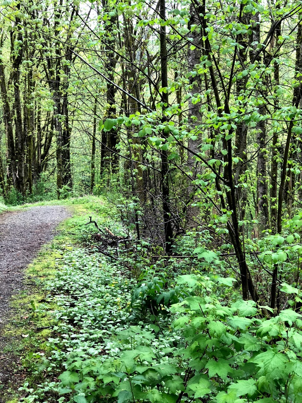 Downes Bowl Park | North Clearbrook, Abbotsford, BC V2T 5A6, Canada