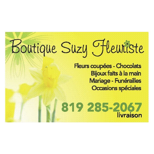Boutique Suzy Fleuriste | 207 Route de lÉcole, Saint-Sylvère, QC G0Z 1H0, Canada | Phone: (819) 285-2067