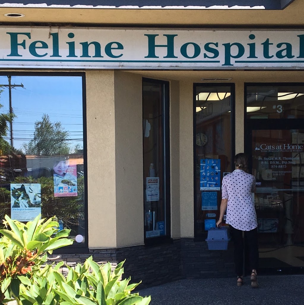 Cats At Home Feline Hospital | 17967 56 Ave #3, Surrey, BC V3S 1E2, Canada | Phone: (604) 574-8873