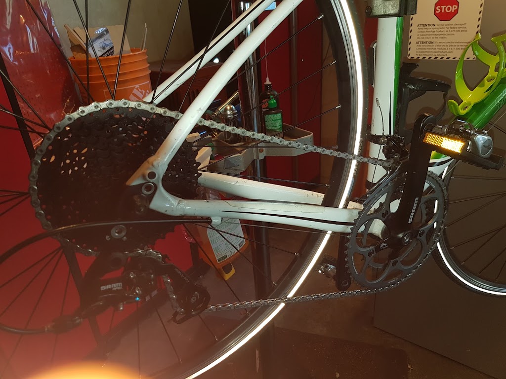 Beach Grove Bicycle Repair | 1723 57a St, Delta, BC V4L 1X9, Canada | Phone: (604) 812-8610