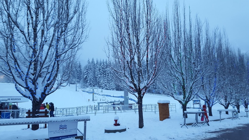 Whistler Home Holidays Inc | 3114 Tyrol Crescent, Whistler, BC V0N 1B3, Canada | Phone: (604) 938-9256