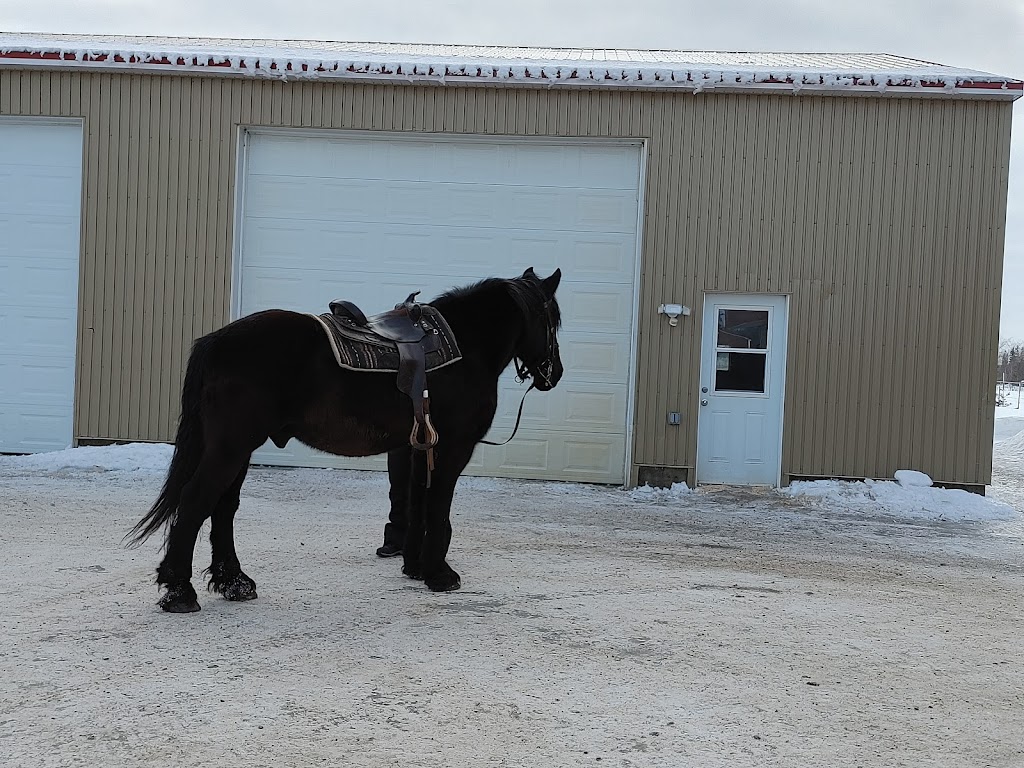 Centre Equestre Des Sables | 571 Chem. des Sables O, Pintendre, QC G6C 1B6, Canada | Phone: (418) 837-7185