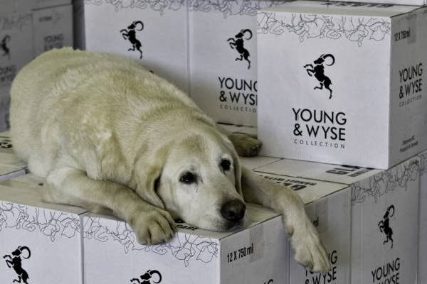 Young & Wyse Collection | 9503 12 Ave, Osoyoos, BC V0H 1V1, Canada | Phone: (250) 495-3245