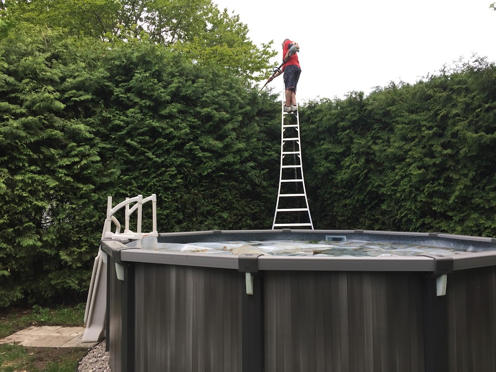 Mayfair Tree Care Ltd | 115 Northwind Rd, Pleasantville, NS B0R 1G0, Canada | Phone: (902) 543-3503