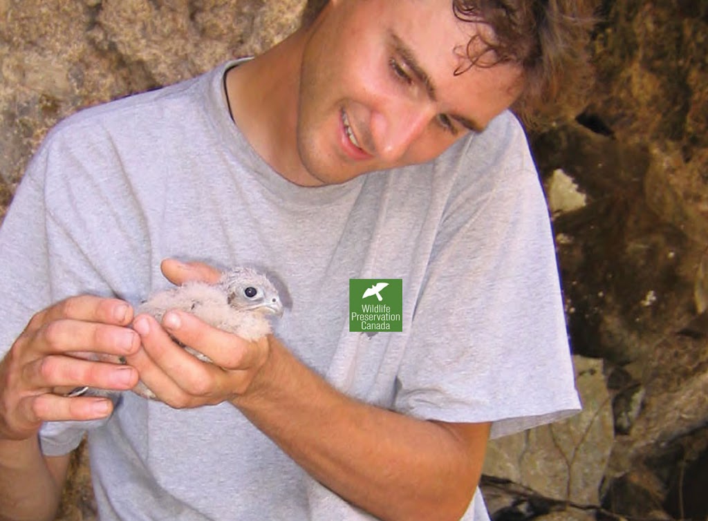 Wildlife Preservation Canada | Suite 234, 5420, ON-6, Guelph, ON N1H 6J2, Canada | Phone: (519) 836-9314