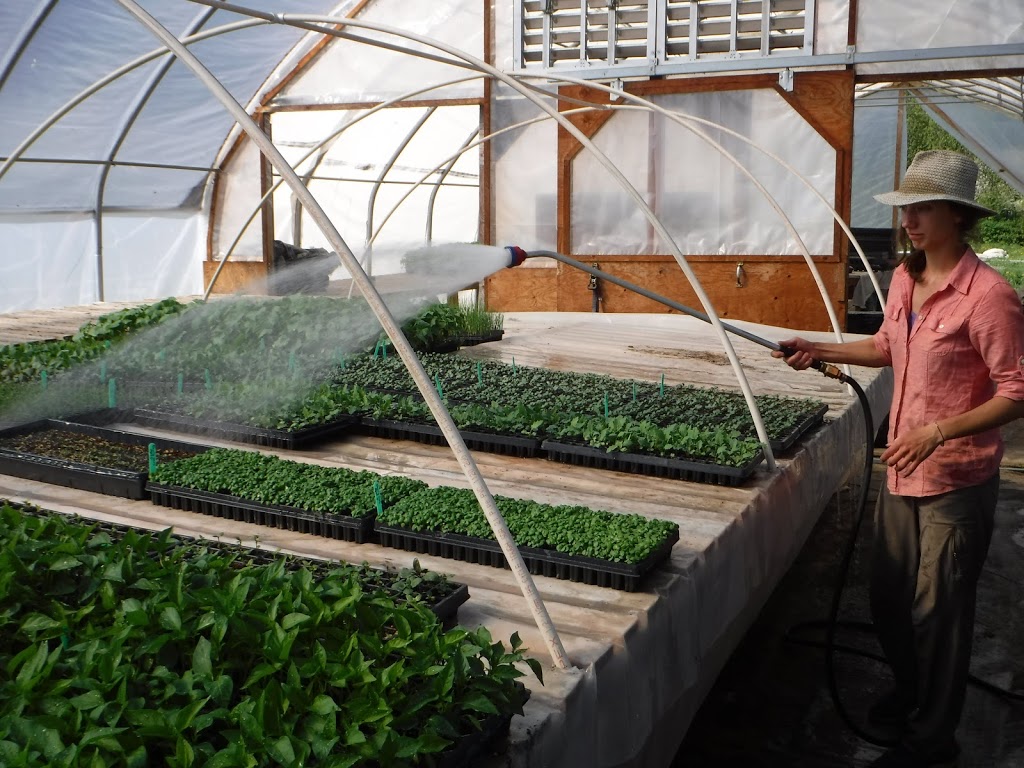 Wild Flight Farm | 205 Rosemond Lake Rd, Mara, BC V0E 2K0, Canada | Phone: (250) 838-7447