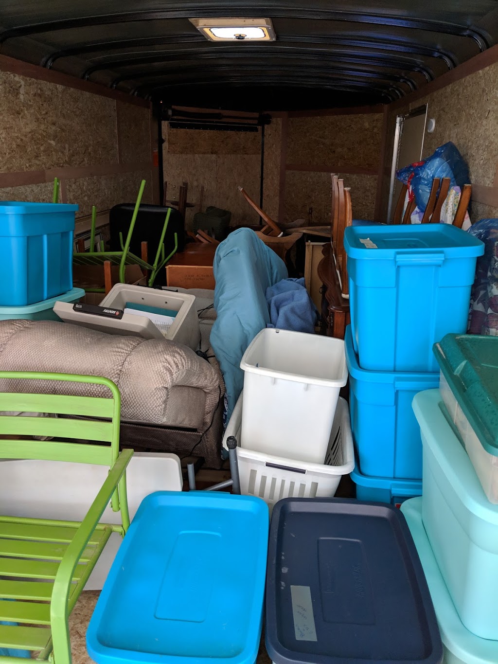 Green Heat Bed Bug Exterminator | 1411 Hidden Valley Rd, Burlington, ON L7P 0T5, Canada | Phone: (289) 828-2298