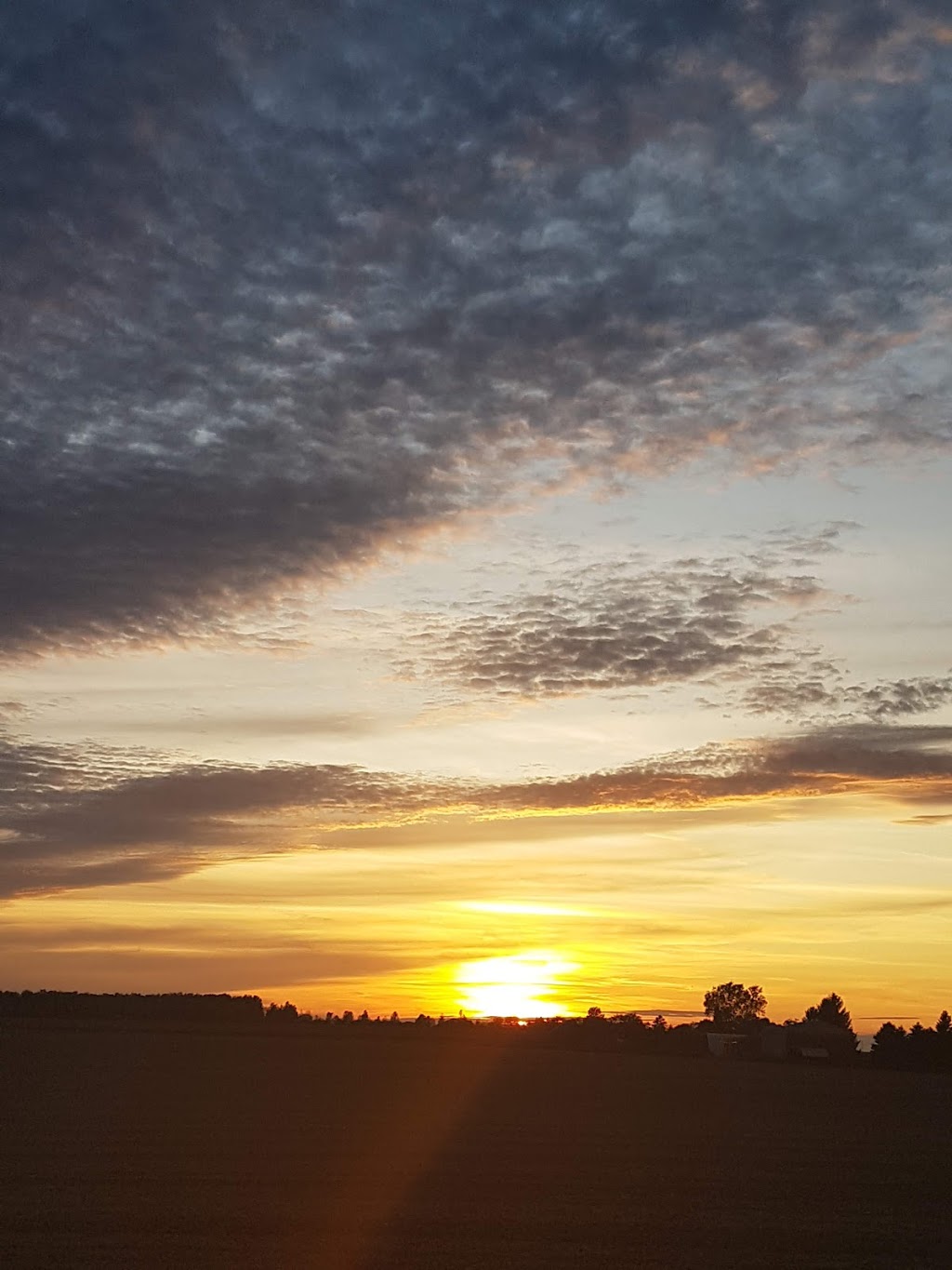 Bosomworth Deere Country Fjords | 1c0, 102081 Concession Rd 6, West Grey, ON N0G 1C0, Canada | Phone: (519) 665-2303