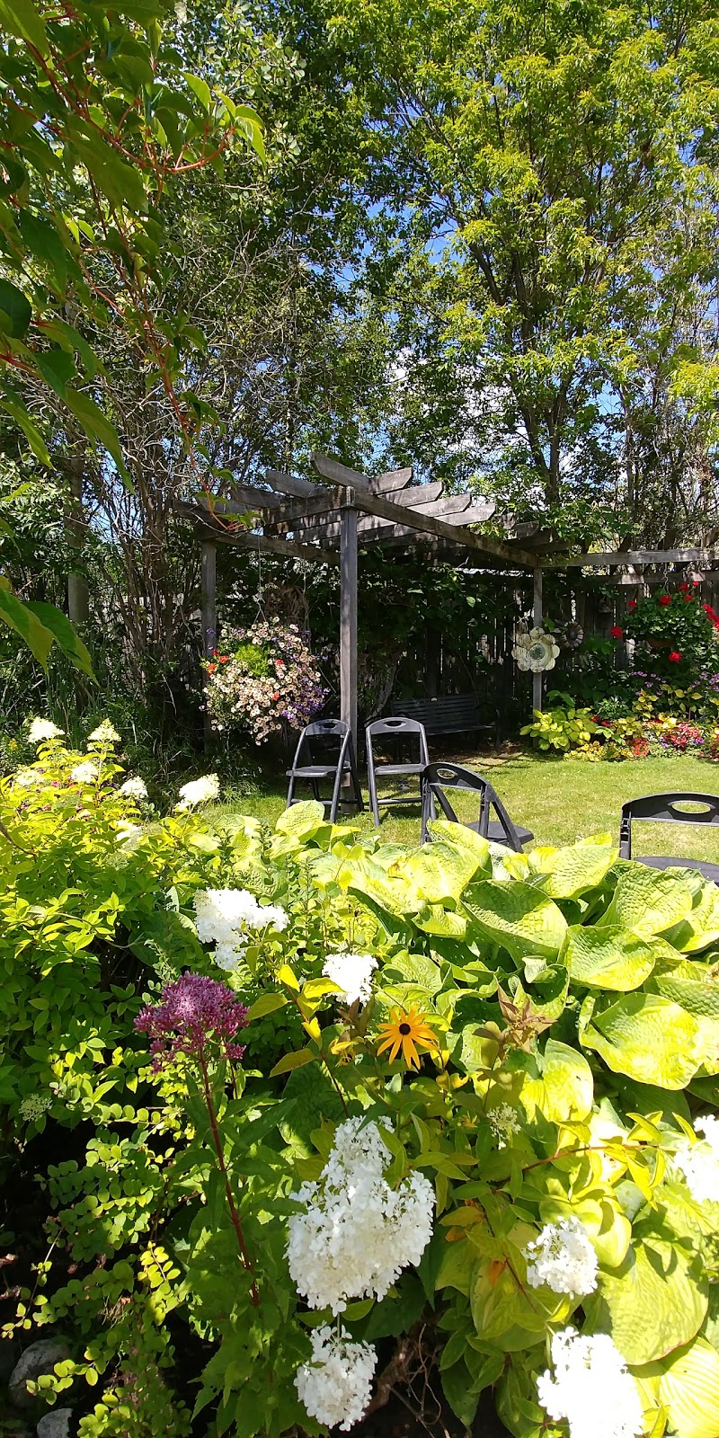 Griffins Greenhouses | 3026 Lakefield Rd, Peterborough, ON K9J 6X5, Canada | Phone: (705) 652-8638