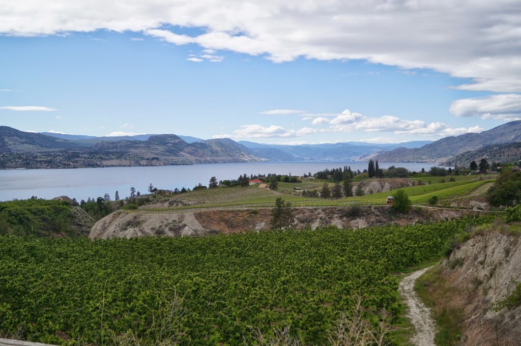 AMC Wine Tours | 3711 Elliott Rd, West Kelowna, BC V4T 2H7, Canada | Phone: (866) 203-9830