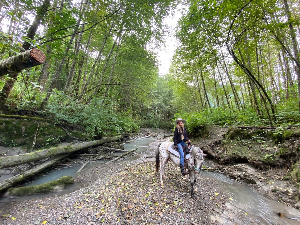 Squamish River Horse Adventures - SRHA | 15986 Squamish Valley Rd, Brackendale, BC V0N 1H0, Canada | Phone: (604) 905-8565