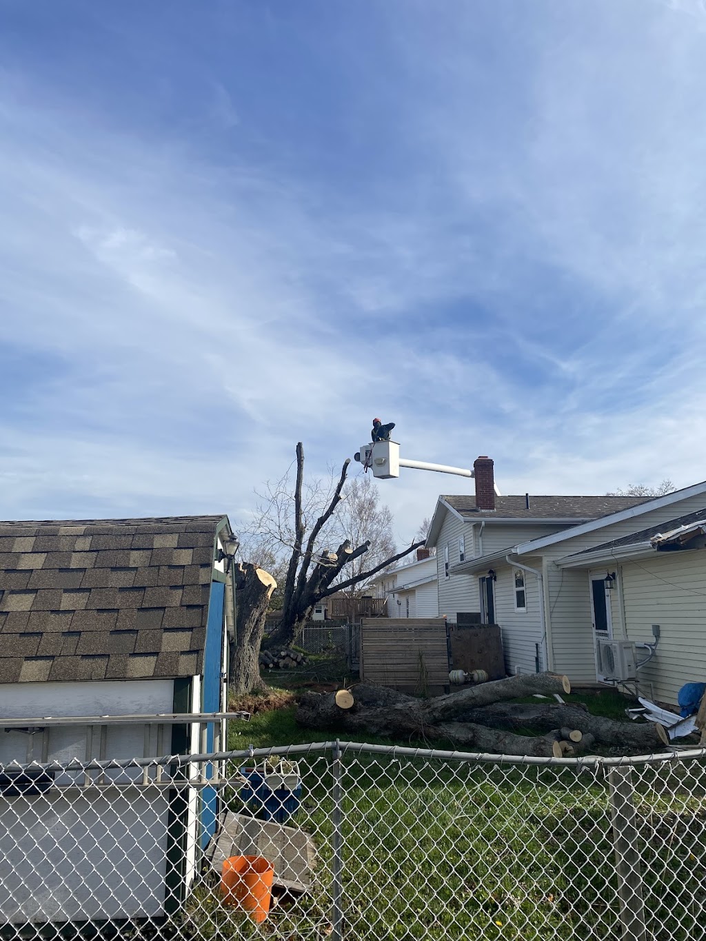 Laird Tree Care | 2647 Brothers Rd, Mount Stewart, PE C0A 1T0, Canada | Phone: (902) 969-9017