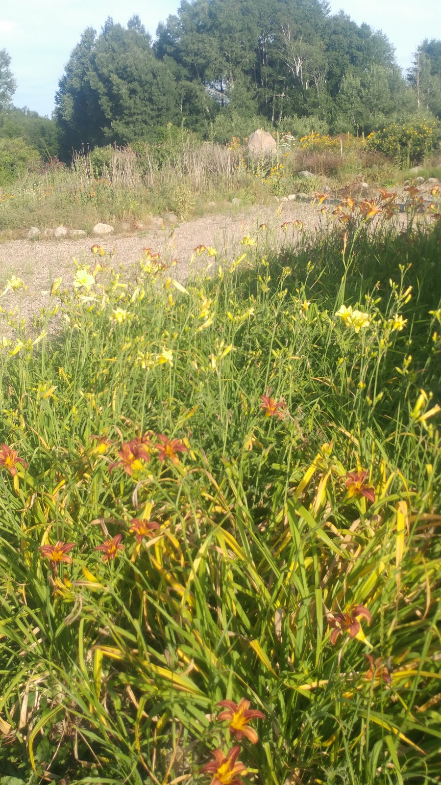 Tom Thomson Park | Ottawa Ave, South River, ON P0A 1X0, Canada | Phone: (705) 386-2573