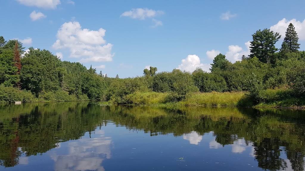 Wolf Den Nature Retreat Hostel & Cabins | 4568 ON-60, Dwight, ON P0A 1H0, Canada | Phone: (705) 635-9336