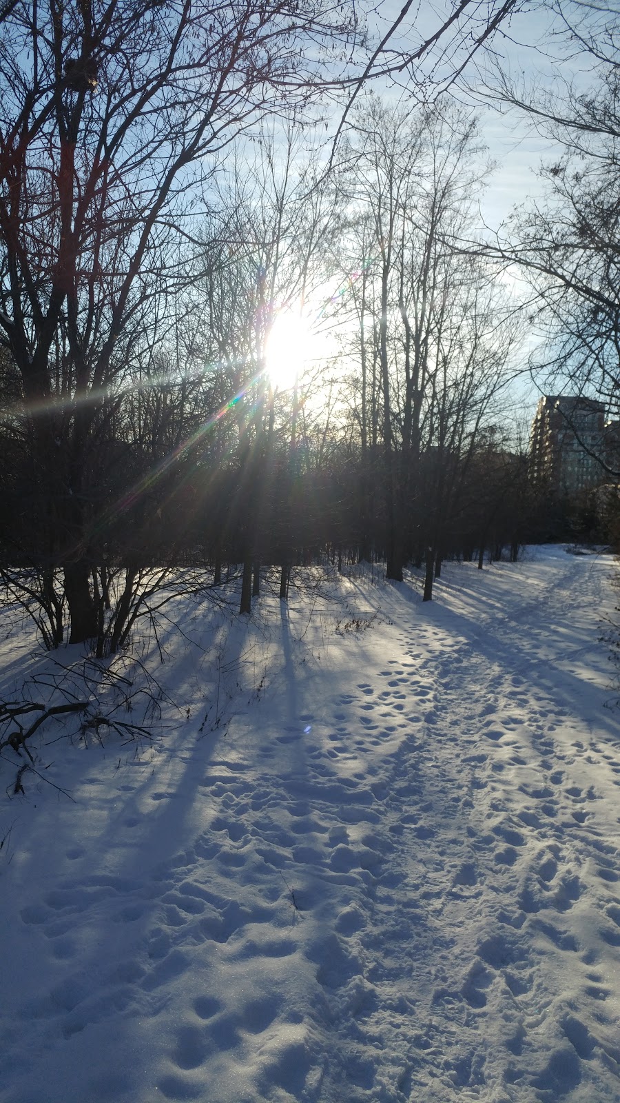 Springbrook Park | Richmond Hill, ON L4B 3P9, Canada | Phone: (905) 771-8800