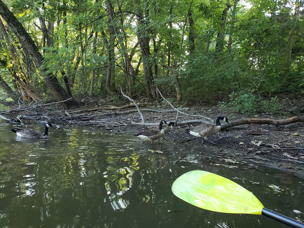 Parc de la Rivière-des-Mille-Îles | 345 Boulevard Sainte-Rose, Laval, QC H7L 1M7, Canada | Phone: (450) 622-1020