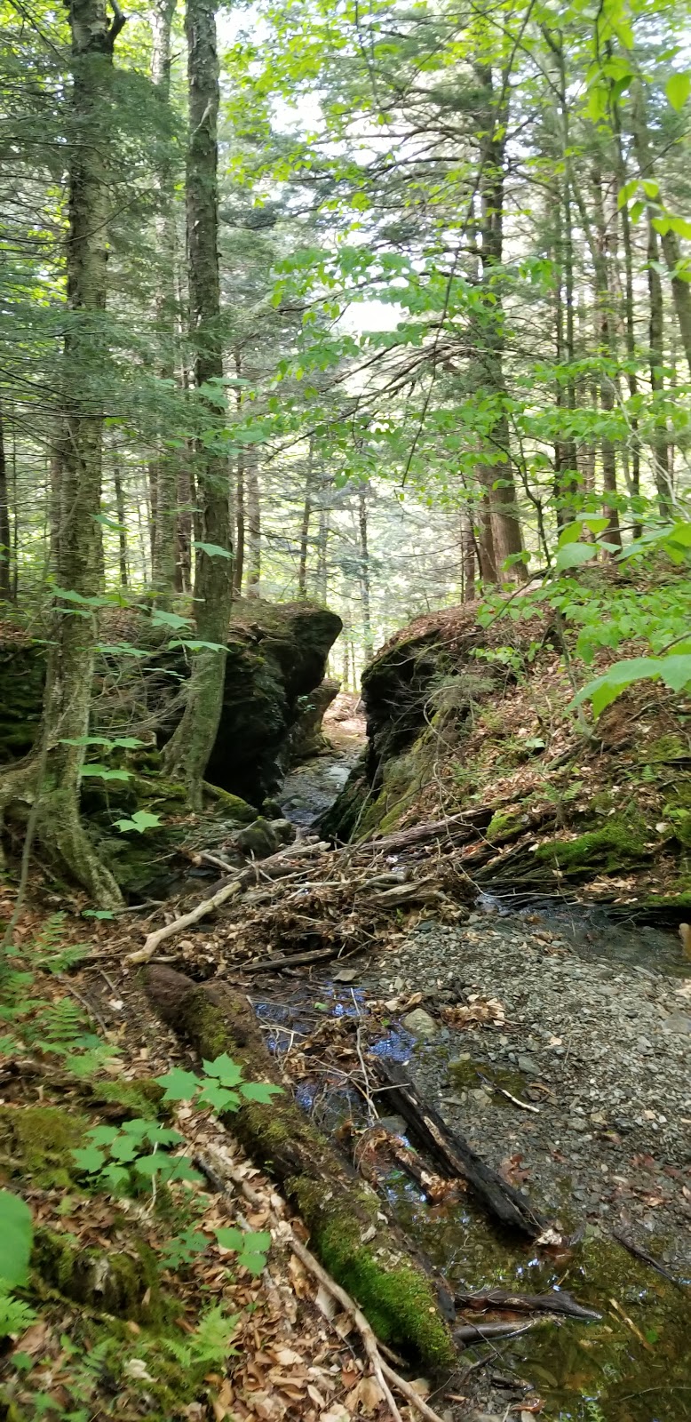Sentier Mont Écho | Chemin de la Falaise, Sutton, QC J0E 2K0, Canada