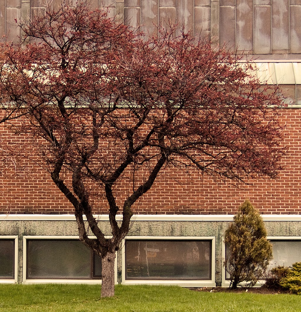 Trinity United Church | 1099 Maitland Ave, Ottawa, ON K2C 2B8, Canada | Phone: (613) 225-3627