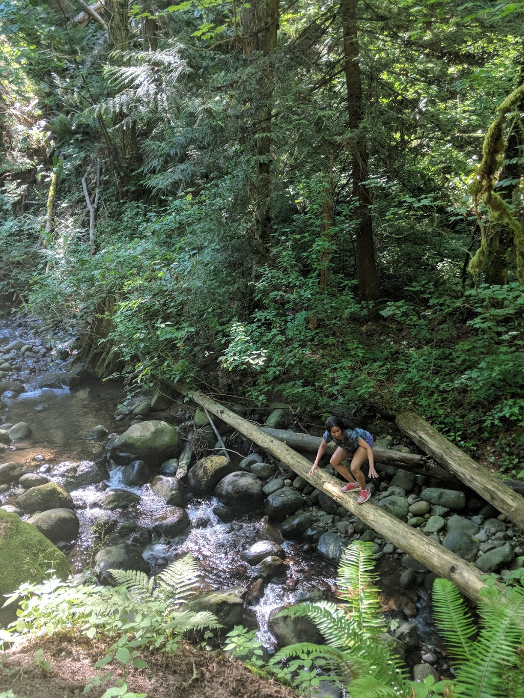Byrne Creek Ravine Park | 6555 Byrnepark Dr, Burnaby, BC V5E 4L4, Canada | Phone: (604) 294-7450