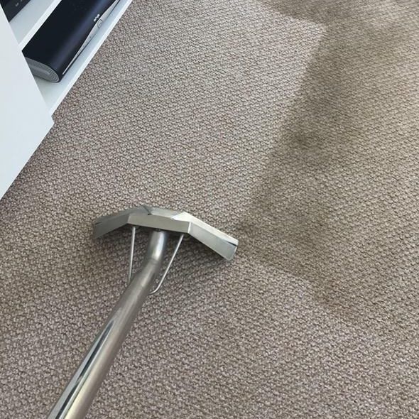 Dynamik Carpet Cleaning Whitchurch-Stouffville | 115 Church St S, Whitchurch-Stouffville, ON L4A 4T9, Canada | Phone: (289) 212-6850