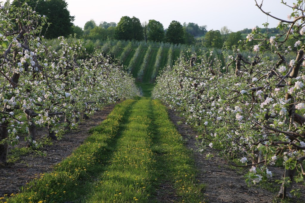 Natures Bounty Farm | 651 Scugog Line 2, Port Perry, ON L9L 1B3, Canada | Phone: (905) 985-2096