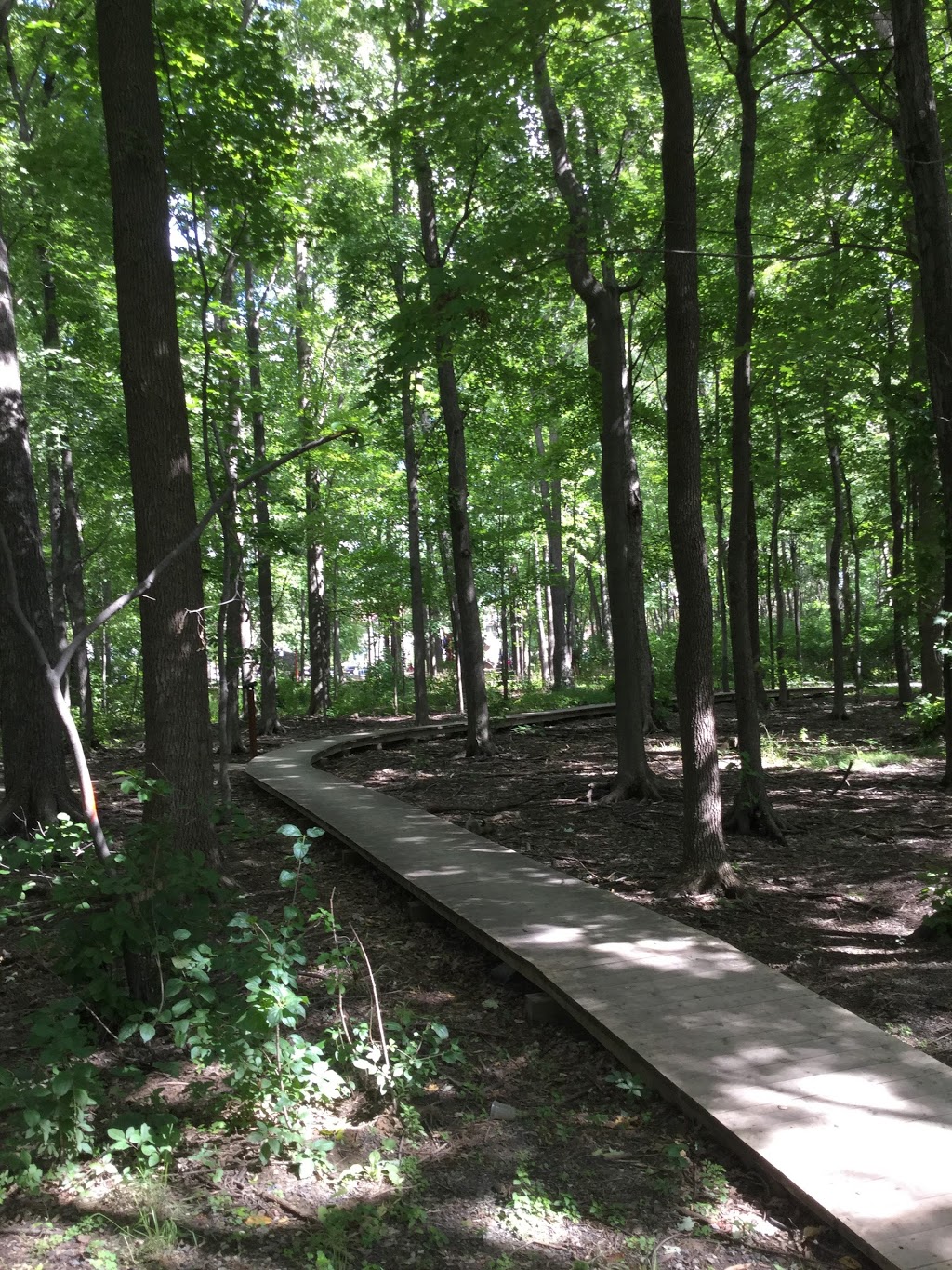 Nathan Shuster Park | Chemin Collins, Côte Saint-Luc, QC H4W 3B3, Canada | Phone: (514) 485-6800
