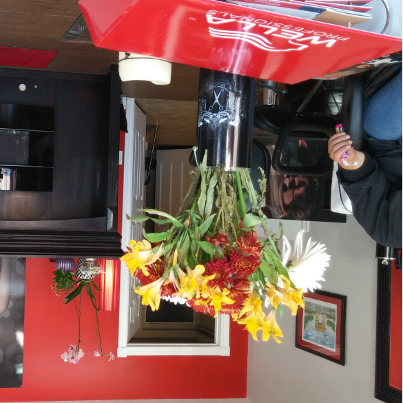 Rouge Cuts & Spa | 159 Metro Rd S #2, Keswick, ON L4P 1W7, Canada | Phone: (905) 476-9889