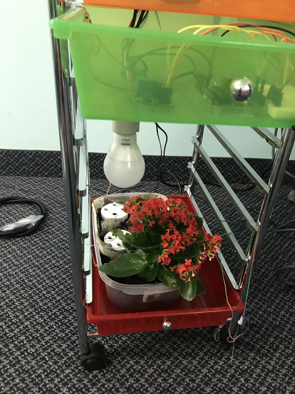 TechZenik Robotics | 2300 Lawrence Ave E unit 221, Scarborough, ON M1P 2R2, Canada | Phone: (416) 628-6763