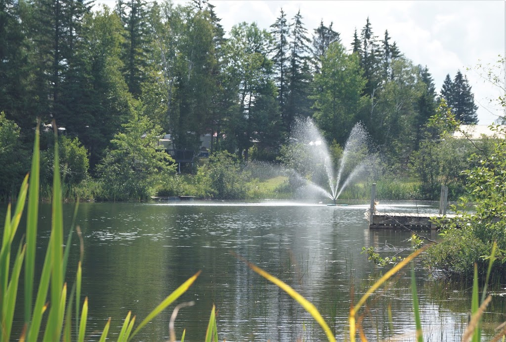 Camping Ste-Emilie Enr | 1551 Route Saint-Joseph, Sainte-Émélie-de-lÉnergie, QC J0K 2K0, Canada | Phone: (450) 886-5879