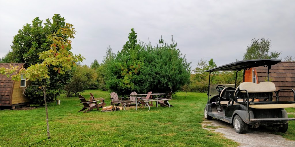 Long Point Eco Adventures | 1730 Front Rd, St Williams, ON N0E 1P0, Canada | Phone: (877) 743-8687