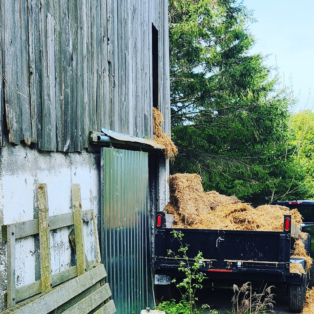 Rutledge Construction | 581 Queen St, Blyth, ON N0M 1H0, Canada | Phone: (519) 441-8382
