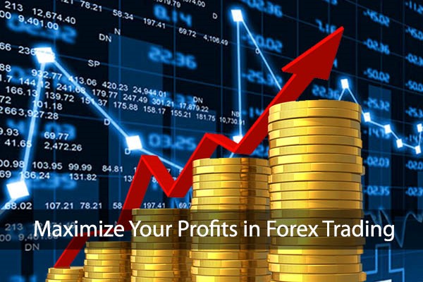 Toronto Forex Tutor | 6512 Warbler Ln, Mississauga, ON L5N 6E1, Canada | Phone: (416) 275-3586