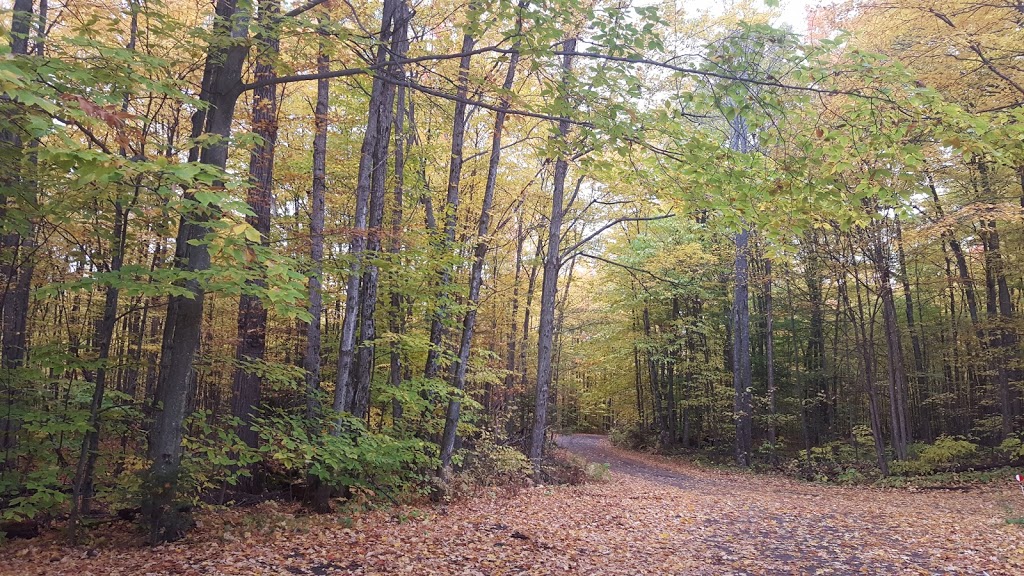 CliffLAND | 502 Hills of Peace Rd, Lanark, ON K0G 1K0, Canada | Phone: (613) 259-3412