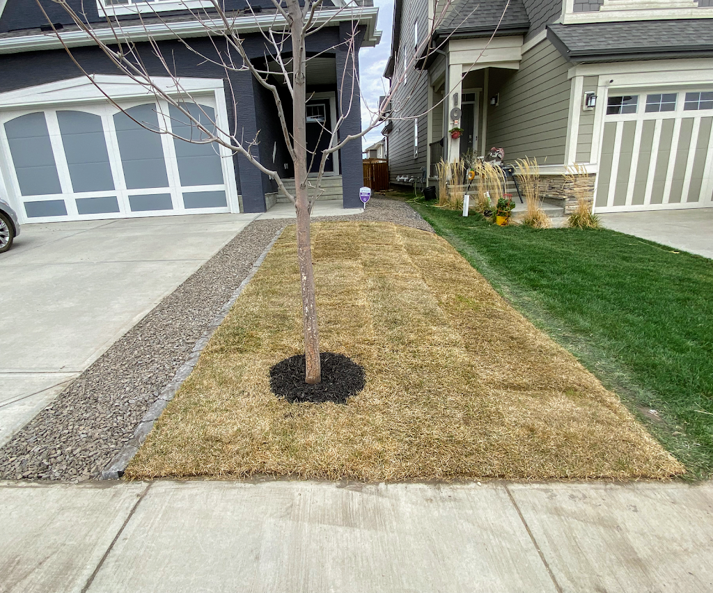 Haligonia Contracting Ltd | 150 Magnolia Square SE, Calgary, AB T3M 2W5, Canada | Phone: (403) 819-8303