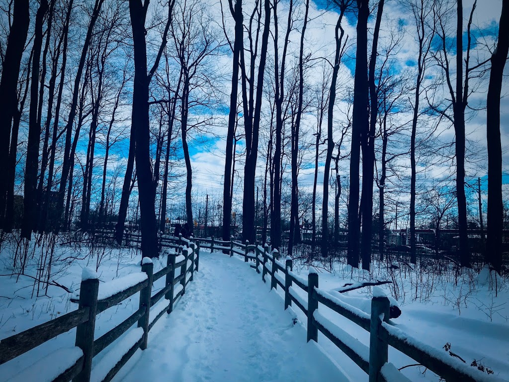 Frank Faubert Wood Lot | 185 Borough Dr, Scarborough, ON M1P, Canada