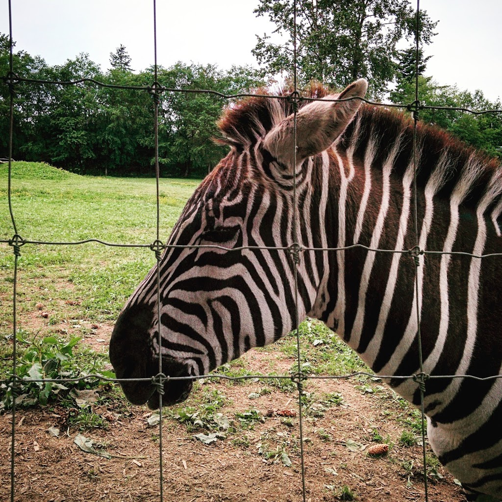 Greater Vancouver Zoo | 5048 264 St, Aldergrove, BC V4W 1N7, Canada | Phone: (604) 856-6825