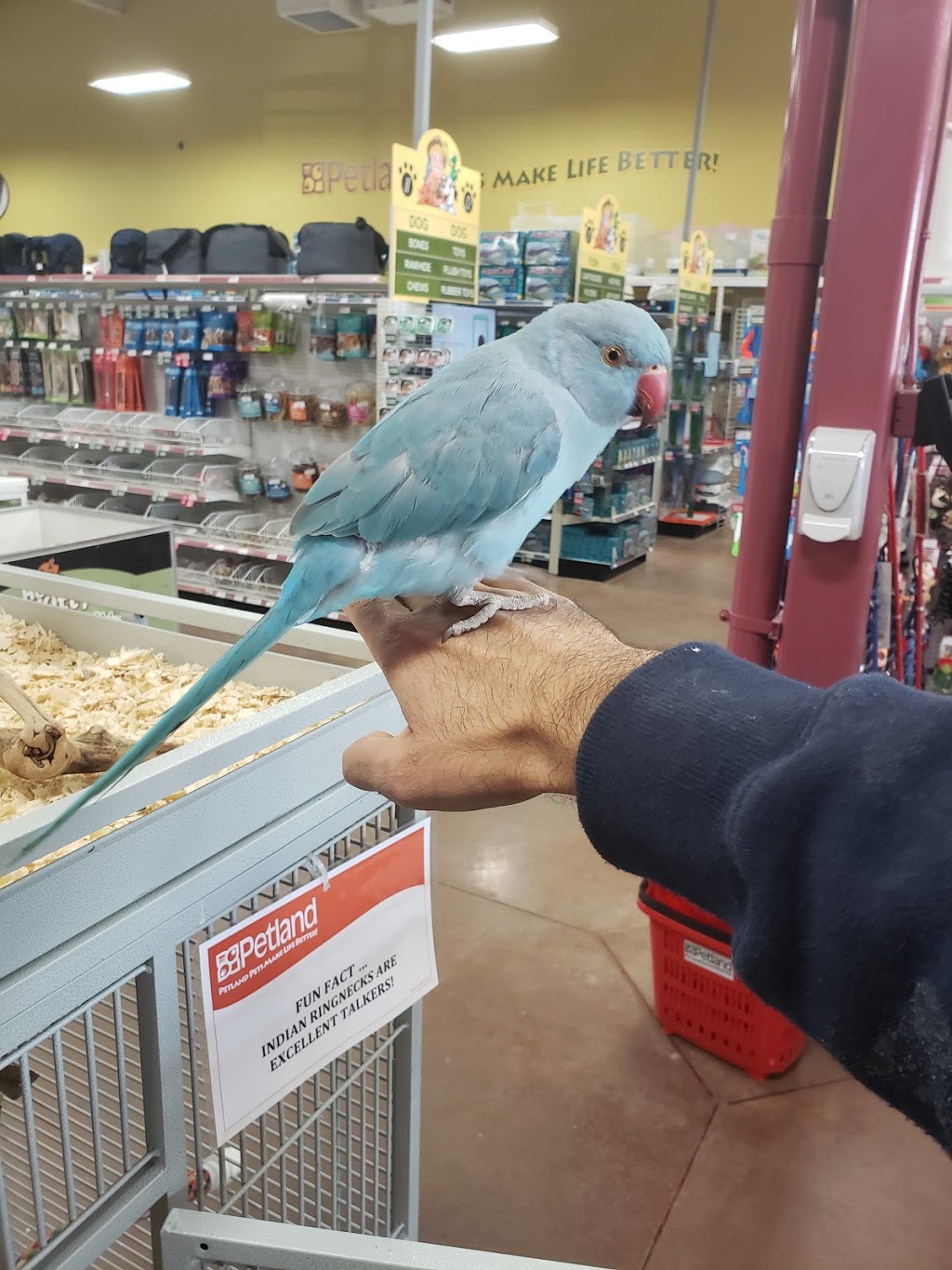 Petland Manning | 15526 37 St NW, Edmonton, AB T5Y 0S5, Canada | Phone: (780) 475-5399
