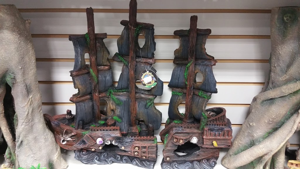 Animalerie Wouf-Miaou | 3175 Boulevard des Récollets, Trois-Rivières, QC G9A 6M1, Canada | Phone: (819) 370-1919